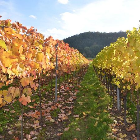恩斯特Ferienweingut Gansen / Hochgenuss 1公寓 外观 照片